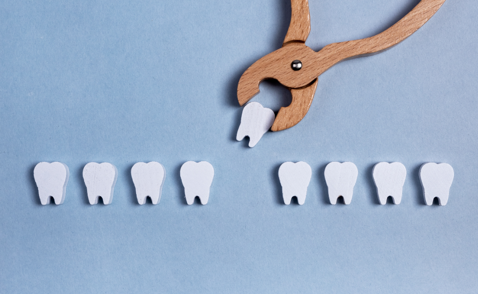 Wooden model teeth with forceps